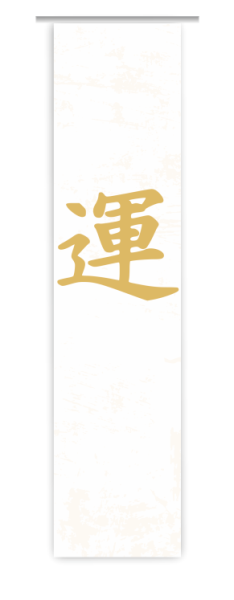 Japan Schiebevorhang modern, Schriftzeichen Motiv, Wandbild, japanisch